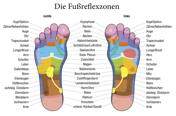 Fußreflexmassage Schaubild-Ihre Naturheilpraktikerin Sandra Biendara-Klindworth